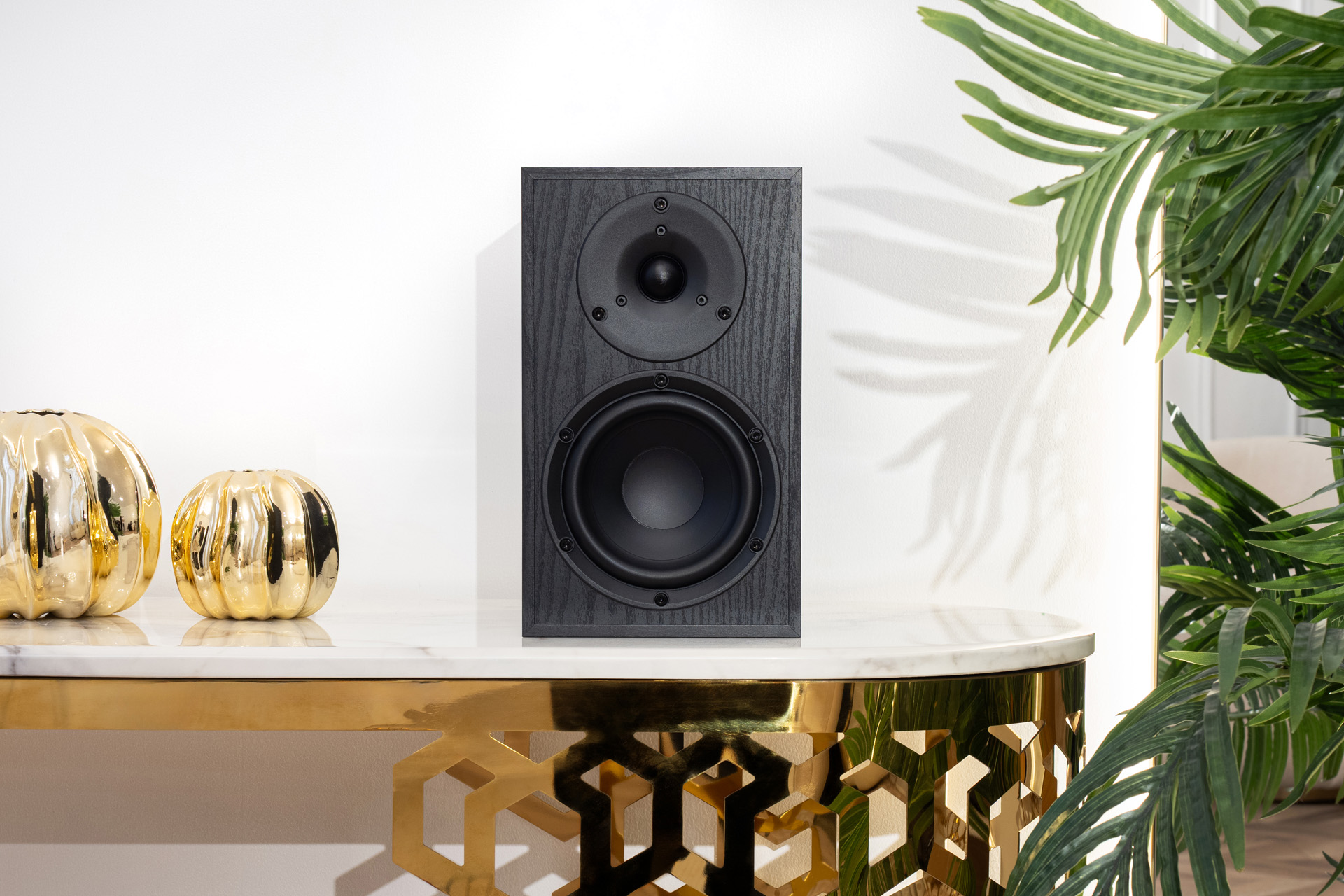 Phaze Audio Tilia 2 black