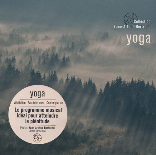 Nicolas Dri, Michael Goldberg, Thierry Noritop - Yoga (3366886)