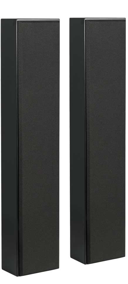 Totem Acoustic KIN Solo satin black
