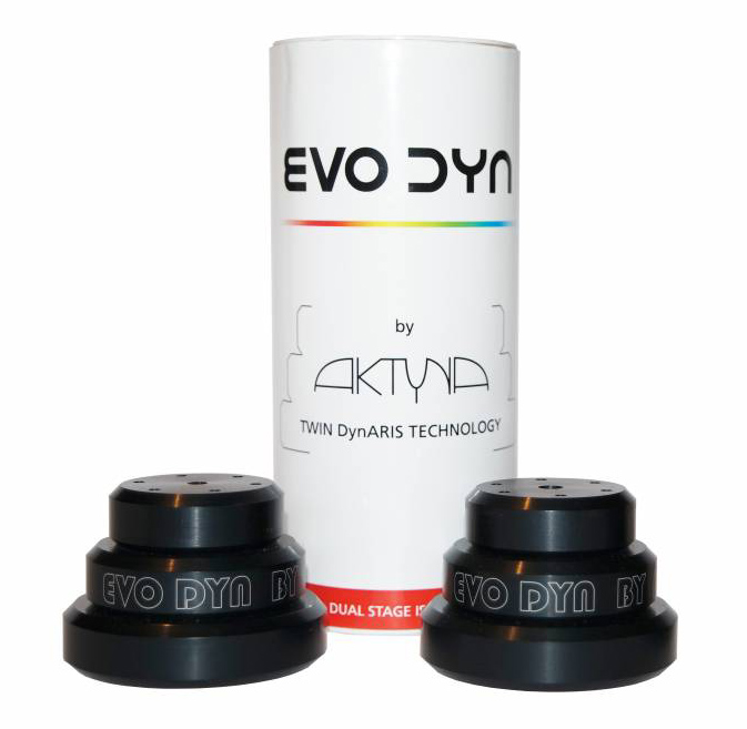 Aktyna Evo Dyn 2 (комп. 2 шт)