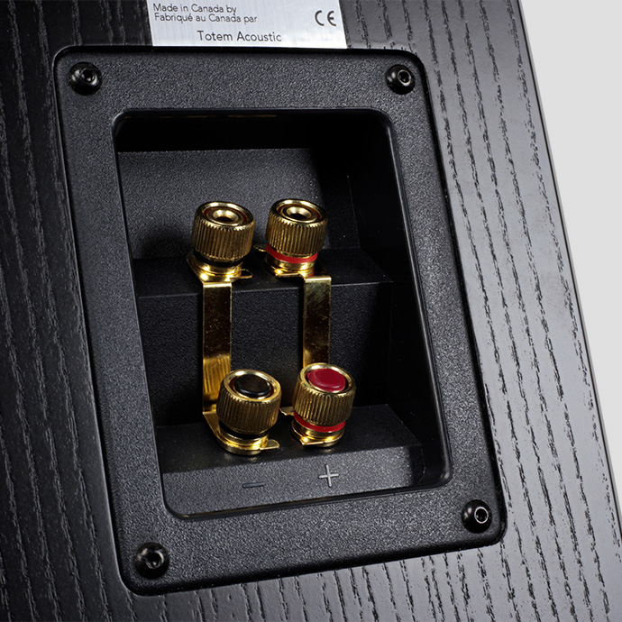 Totem Acoustic Bison Twin Tower white oak