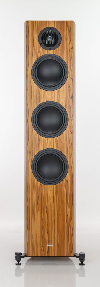 Gauder Akustik Capello 100 Be DV olive